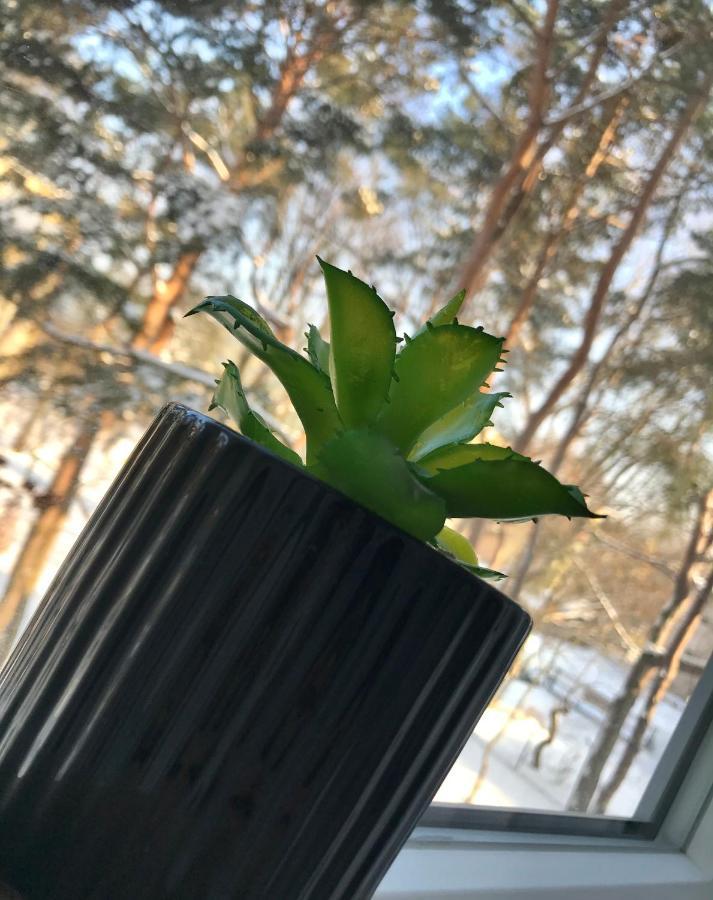Apetyt Na Gdansk Apartament Z Prywatna Sauna Екстериор снимка
