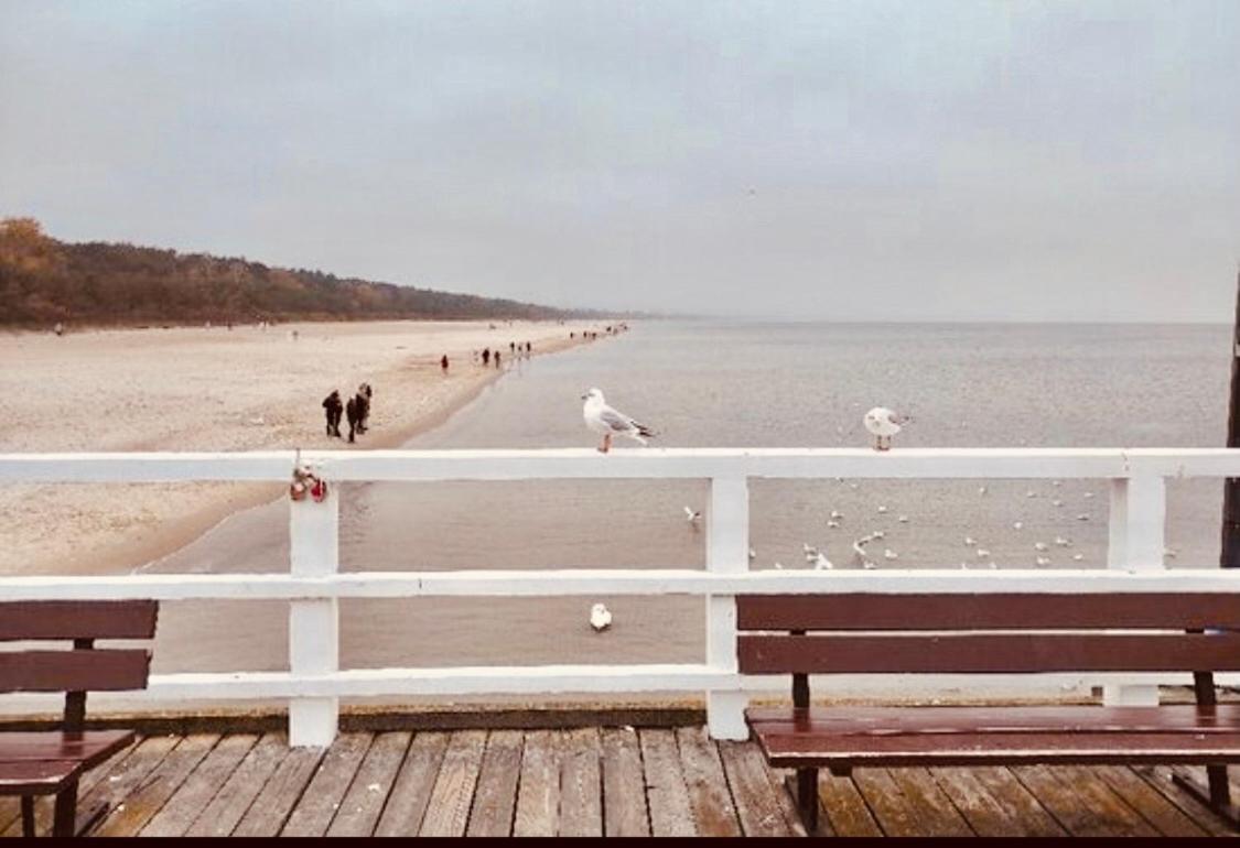 Apetyt Na Gdansk Apartament Z Prywatna Sauna Екстериор снимка